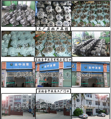 AR16变量柱塞泵 从机械通用到专业液压系统的核心动力