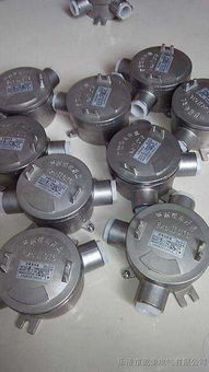 不锈钢防爆接线盒与分线盒 安全电力分配的关键组件与供应厂家指南